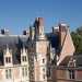 Gothic Château de Blois